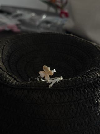 Anillo Plata 925 Mariposa Concha Natural Ajustable