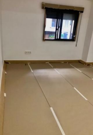Pintor económico
