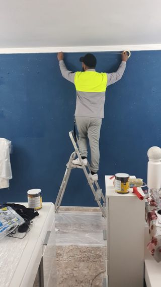 Pintor económico