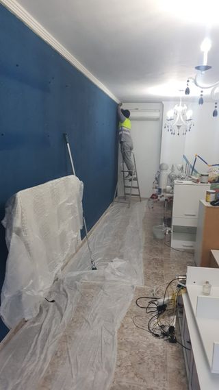 Pintor económico