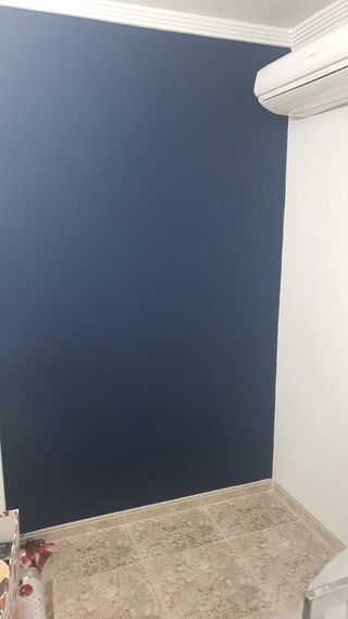 Pintor económico