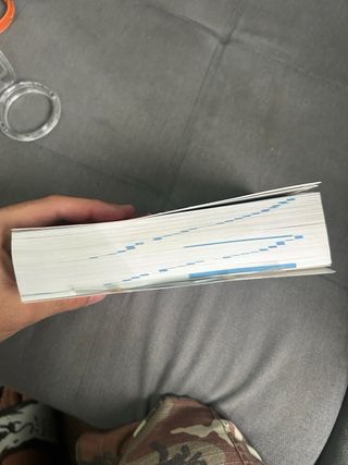 Diccionario Pocket Plus Inglés (Pocket Plus): D...