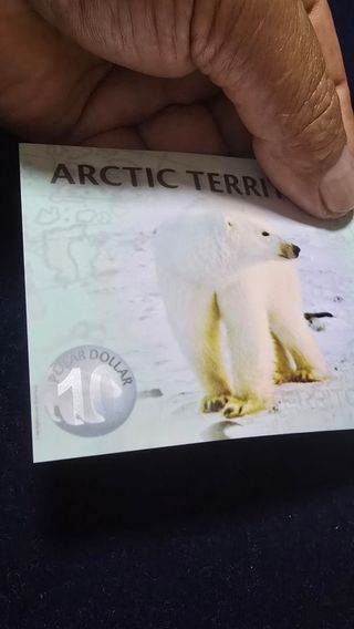Biglietto Polar da 10 dollari per il Territorio Artico 2010