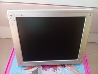 Pantalla de ordenador 