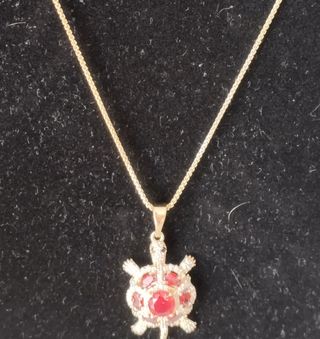 Cadena con dije de tortuga
Oro laminado 14k 