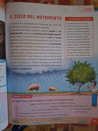 Geografia scienze e tecnologia 3