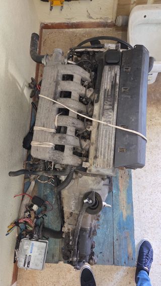 Motor BMW M51D25