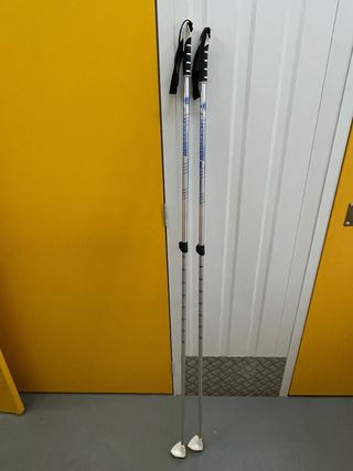 Bastones de esquí de fondo telescópicos 125-165 cm