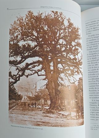 Ciudad y arquitectura Oviedo en la fotografía d...