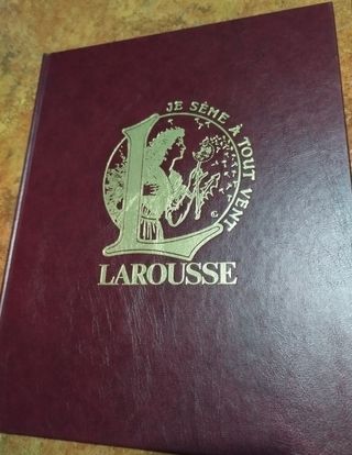 Diccionario Enciclopedico Larousse