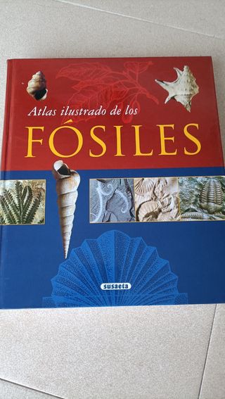 Enciclopedia libro egipto fosiles minerales