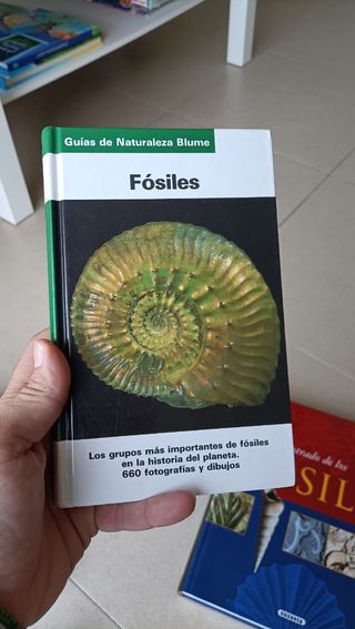 Enciclopedia libro egipto fosiles minerales