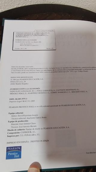 Introducción a la economía (Spanish Edition)