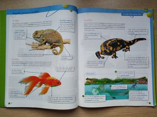 Aprova Primaria (Ciencies de la Narura) 6