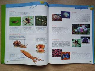 Aprova Primaria (Ciencies de la Narura) 6