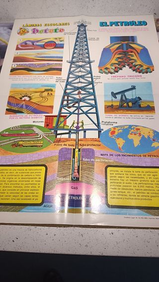 8 Láminas Posters Cuerpo Humano, Zoología, botanic