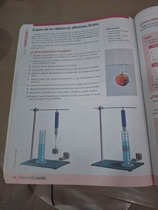 FISICA Y QUIMICA 4 (COMUNIDAD EN RED)