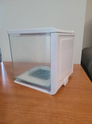 Pecera para Pez Betta