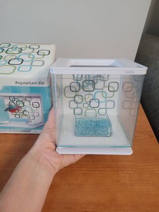 Pecera para Pez Betta