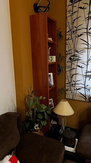 Muebles de salón/comedor de madera