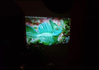 Proyector Jimveo C11 con factura y garantia.