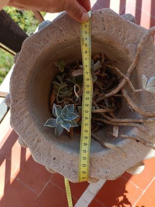 Macetero de piedra estilo rústico