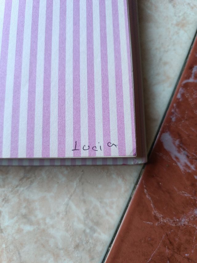 Libro La Diversión de Martina 1