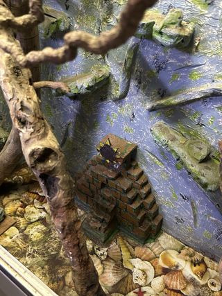 Terrario artesanal con ramas y decoración