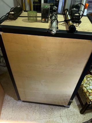 Terrario artesanal con ramas y decoración