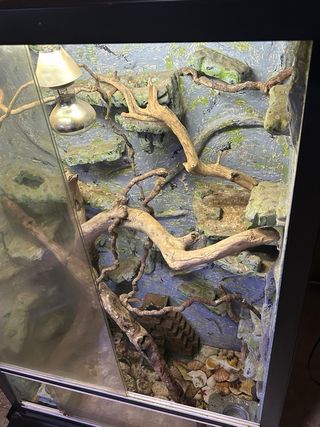 Terrario artesanal con ramas y decoración