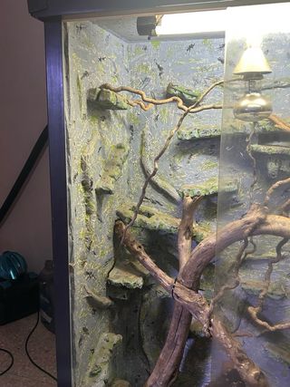 Terrario artesanal con ramas y decoración