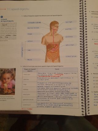 Quadern ProDigi. Biologia i Geologia 3 ESO