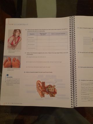 Quadern ProDigi. Biologia i Geologia 3 ESO
