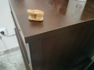 Hueso antiguo esto es astralago fósil entendedor