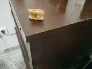 Hueso antiguo esto es astralago fósil entendedor