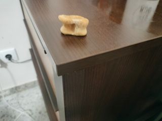 Hueso antiguo esto es astralago fósil entendedor