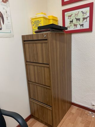 Mueble archivador de madera