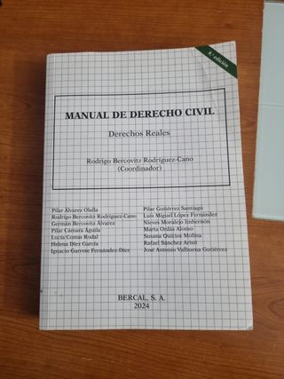 Manual de Derecho Civil. Derechos reales
