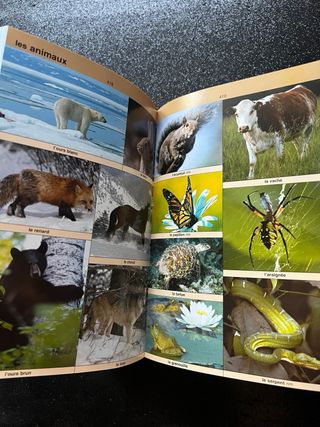 Diccionario Didáctico: DICO. Francés y Español