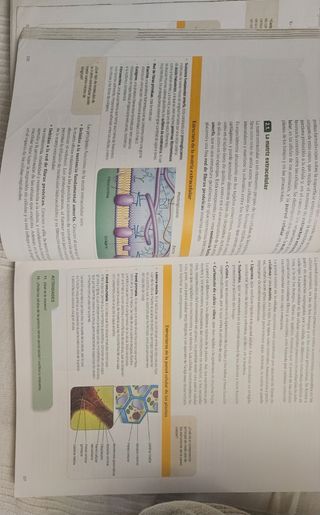 Biología: Libro