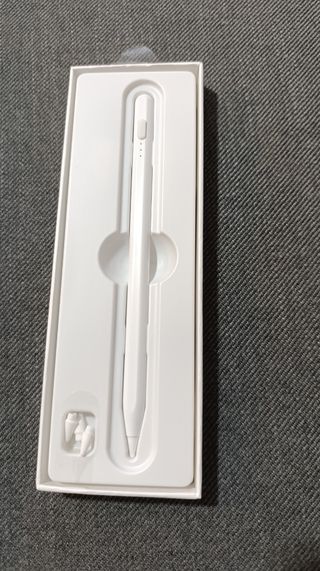 Bolígrafo para iPad