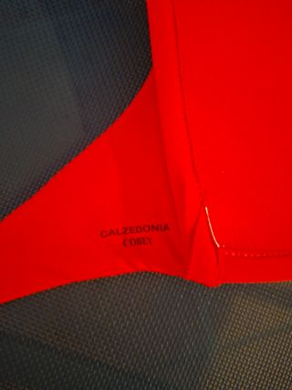 Bikini Calzedonia 
Sujetador talla 85 
Braguita S