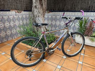 Bicicleta Strongman Vintage