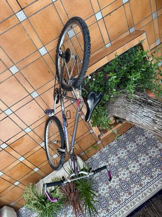 Bicicleta Strongman Vintage