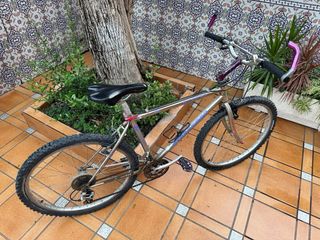 Bicicleta Strongman Vintage