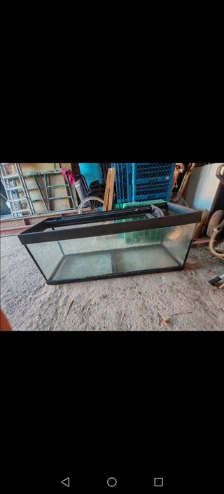 Acuario grande