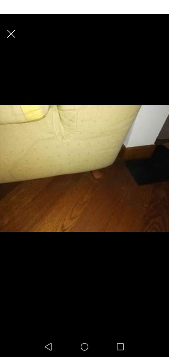 Divano 2 posti stile chippendale