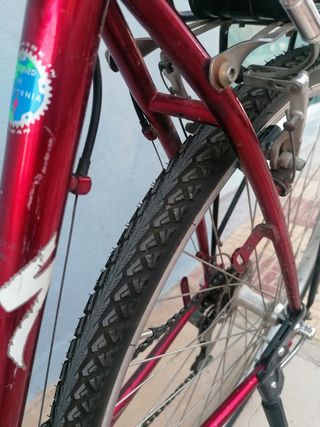 Specialized Crossroads 