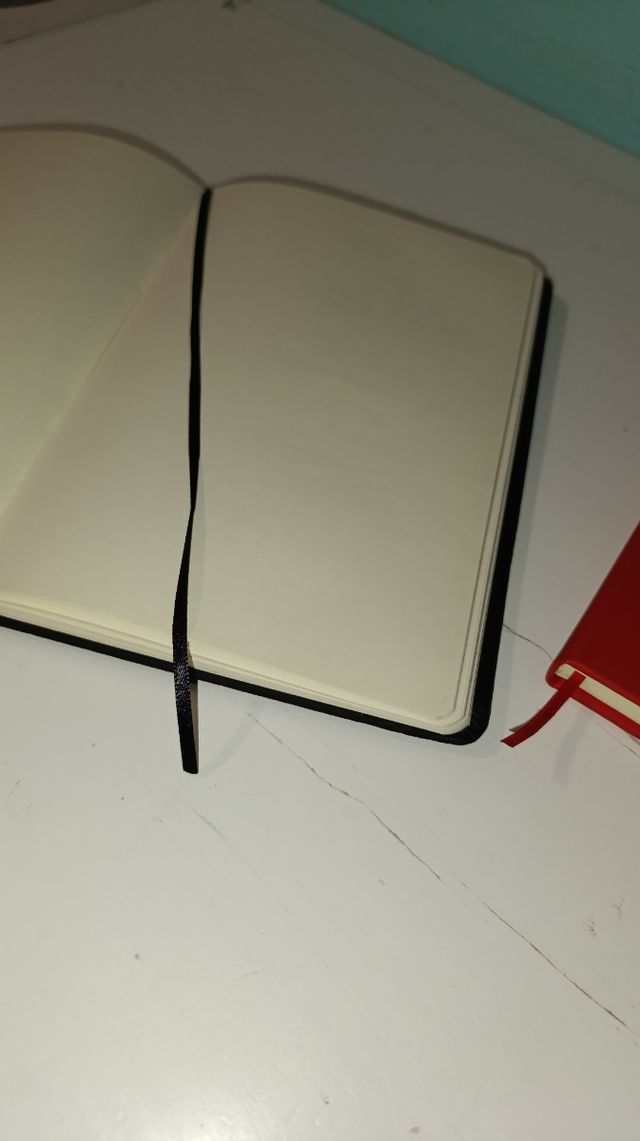 Dos libretas de hoja blancas / 100 hojas