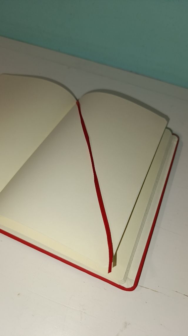 Dos libretas de hoja blancas / 100 hojas